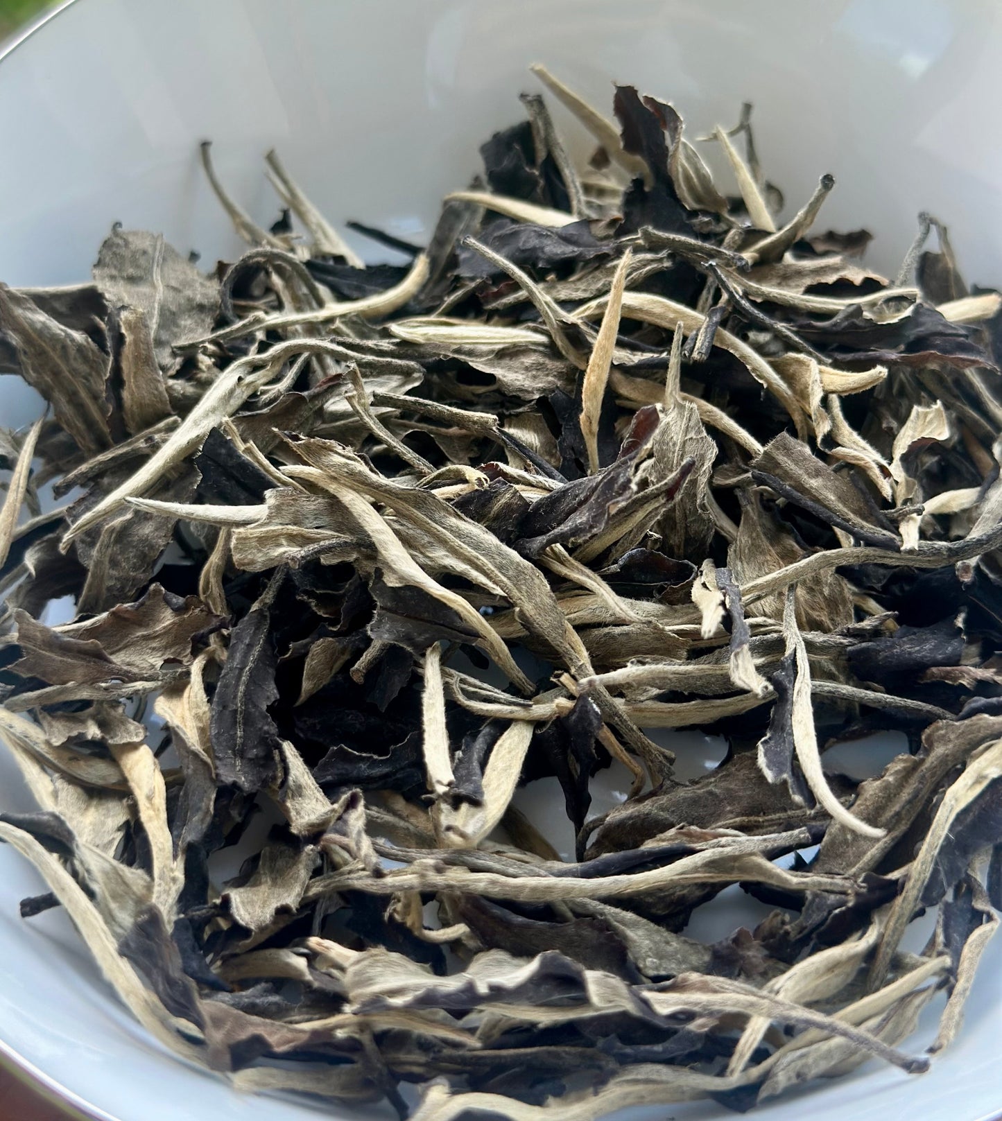 2022 Chinese Yunnan Yiwu White Tea Gushu Aged Baicha