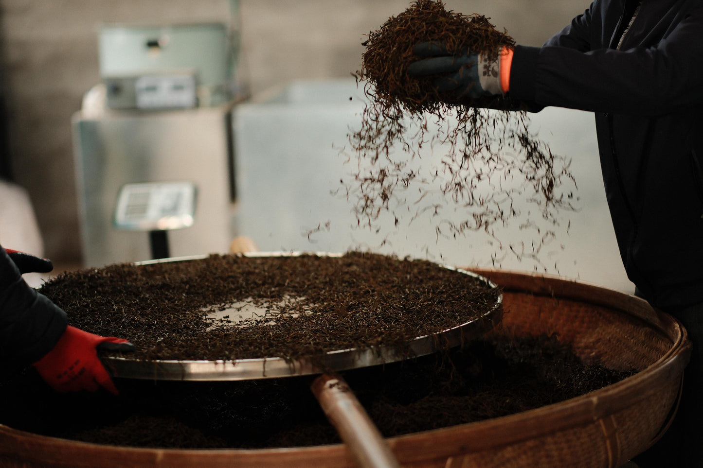 Premium Wuyi Mountain Tongmuguan Black Tea Authentic Jinjunmei Supreme Grade First Spring Pick-up Harvest High-end Chinese Red Tea