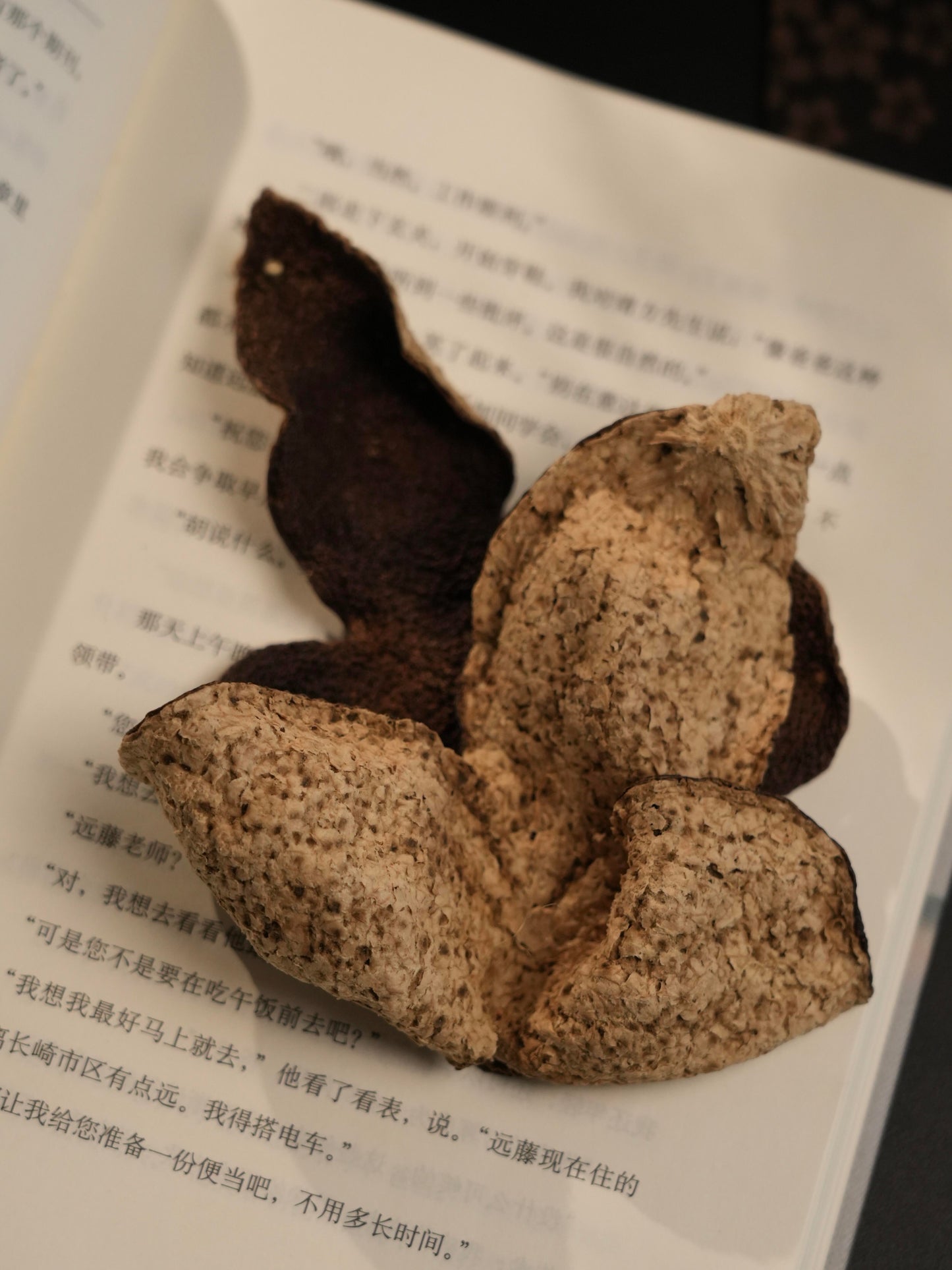 2019 Authentic Aged Chinese Canton Xinhui Natural Dried Tangerine Peel Chenpi