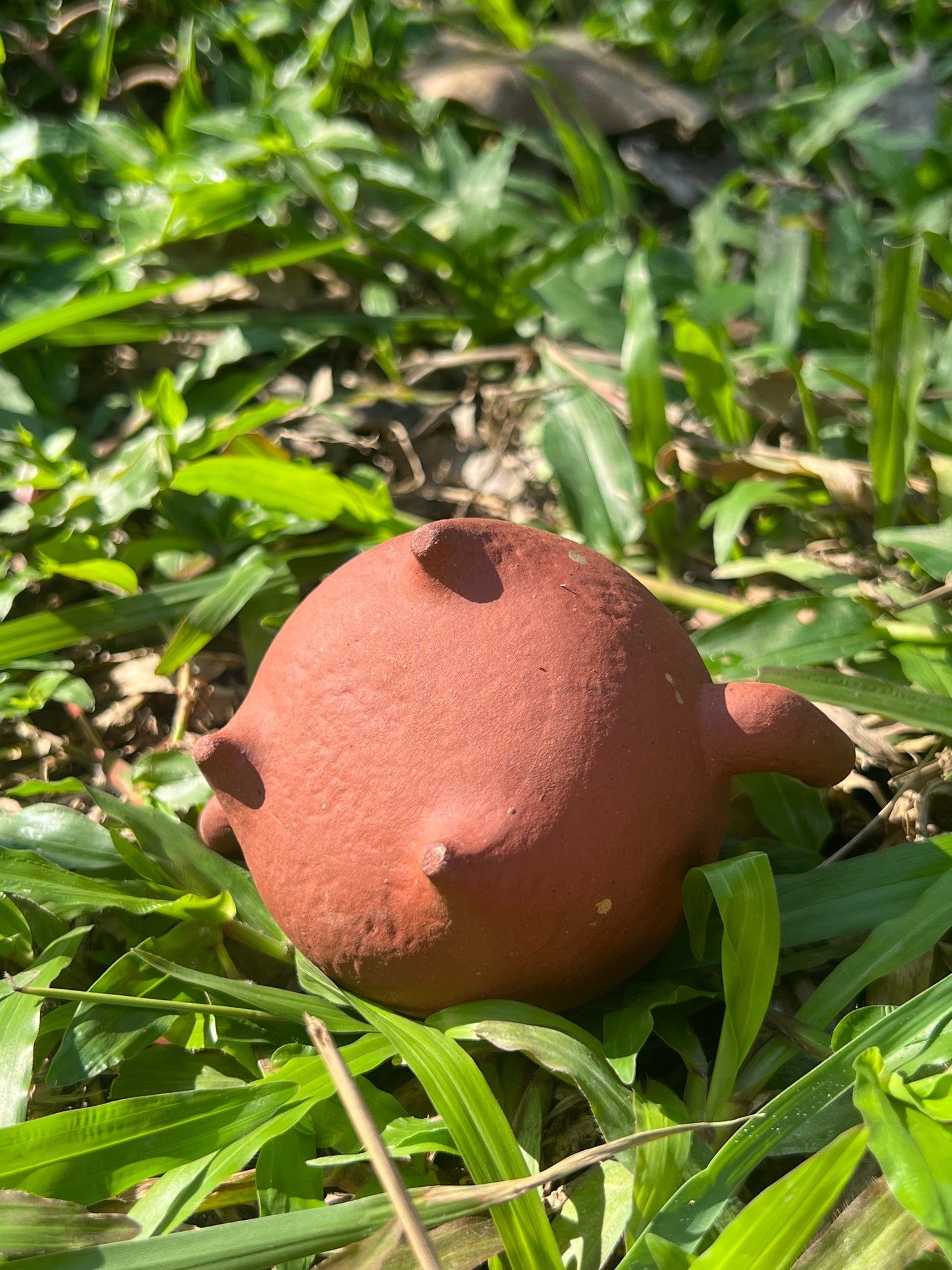 this is Chinese purple clay teapot. this is a pottery teapot