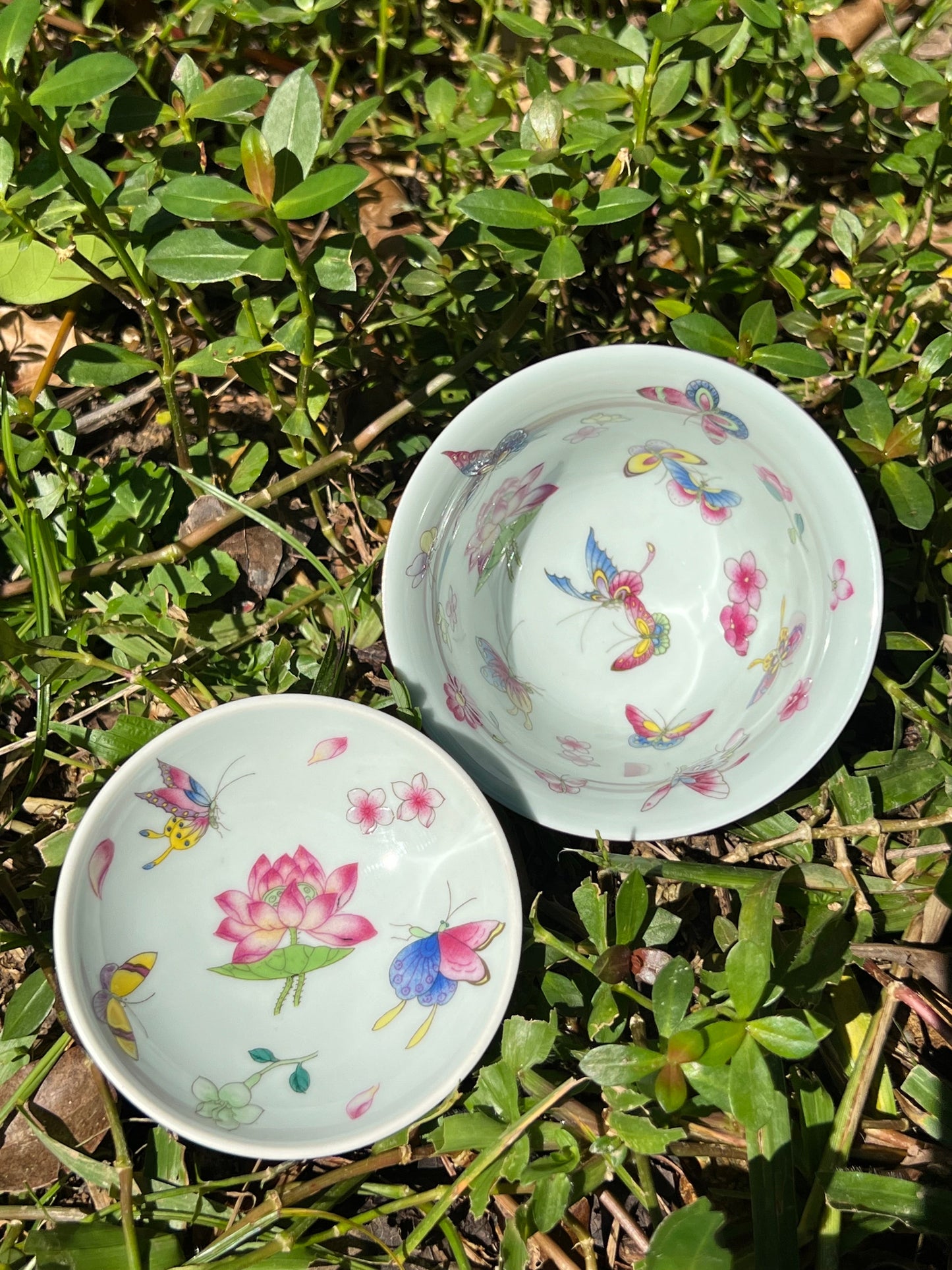 Hand Painted Pahua Chinese Butterfly Gaiwan Jingdezhen Master Ceramic Artwork