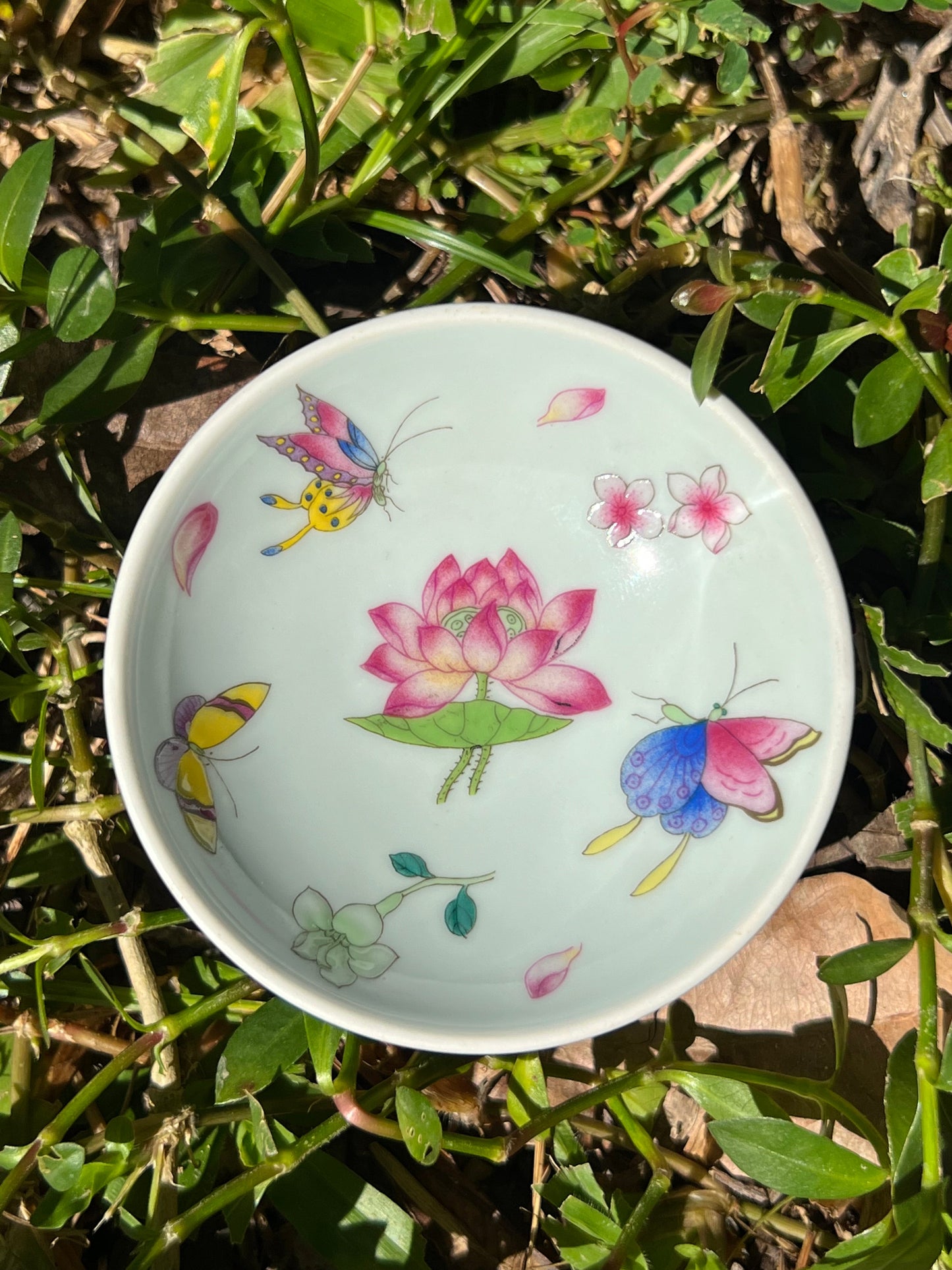 Hand Painted Pahua Chinese Butterfly Gaiwan Jingdezhen Master Ceramic Artwork