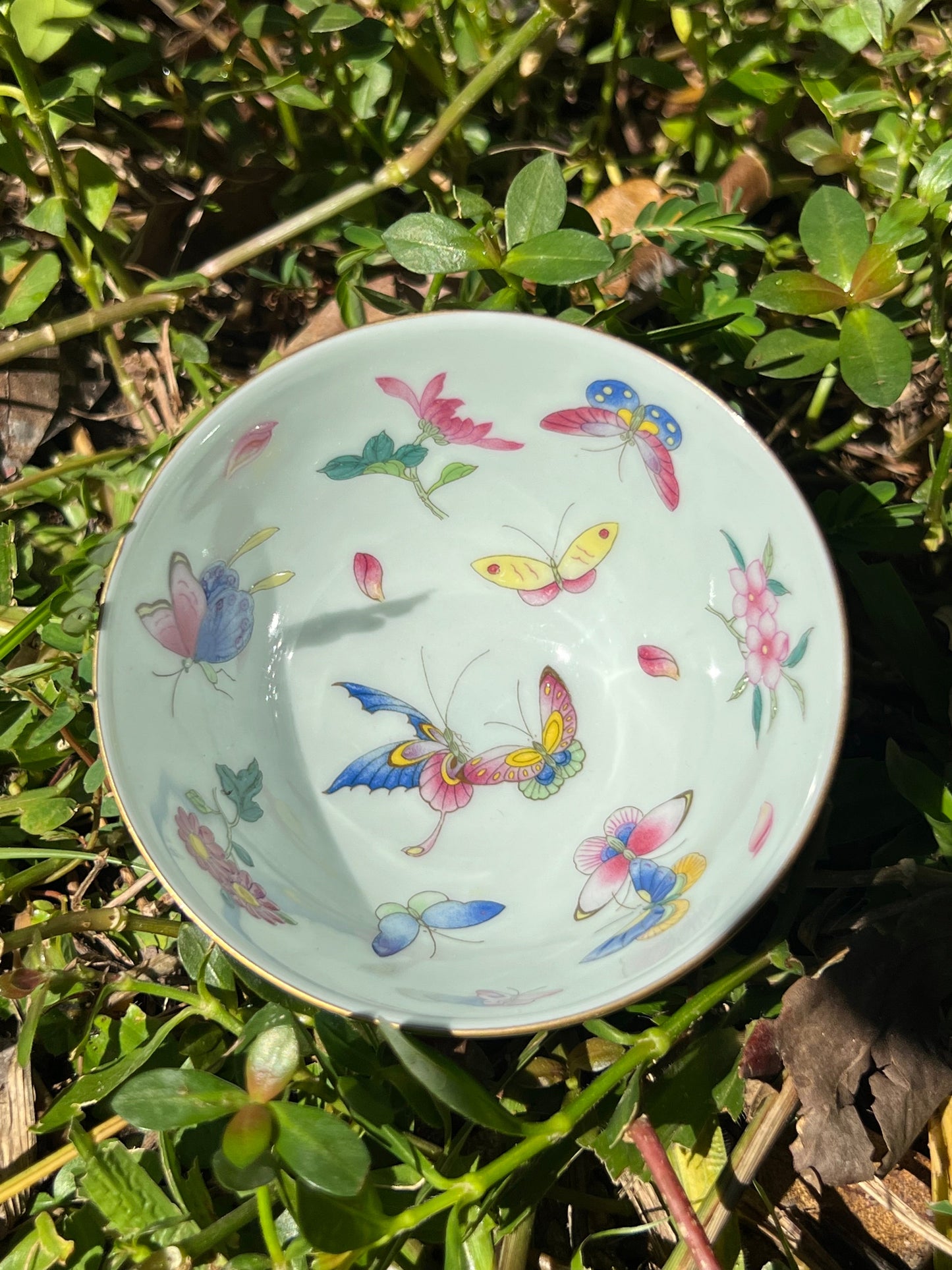 Hand Painted Pahua Chinese Butterfly Gaiwan Jingdezhen Master Ceramic Artwork