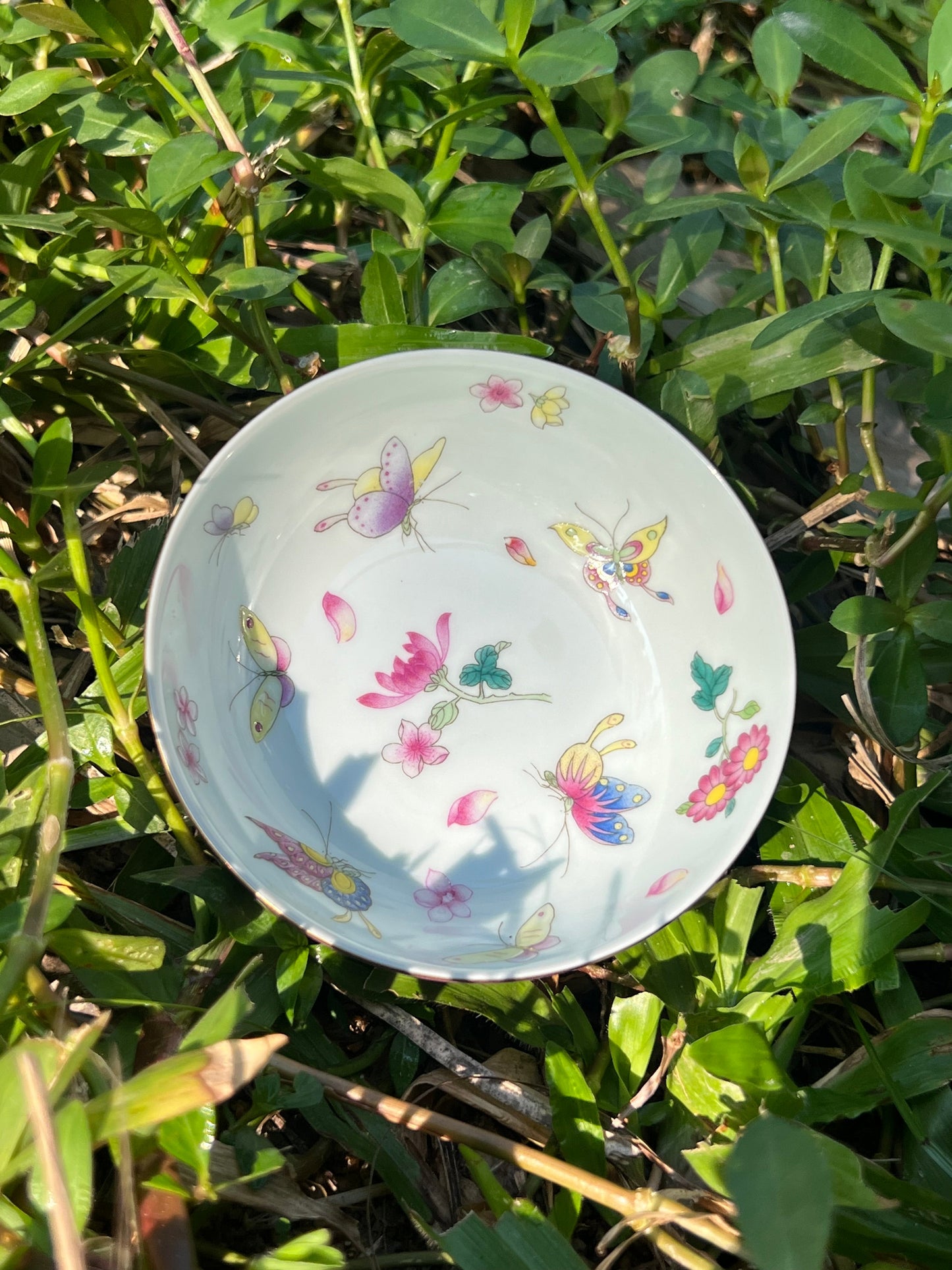 Hand Painted Pahua Chinese Butterfly Teacup Jingdezhen Master Ceramic Artwork Purple Base