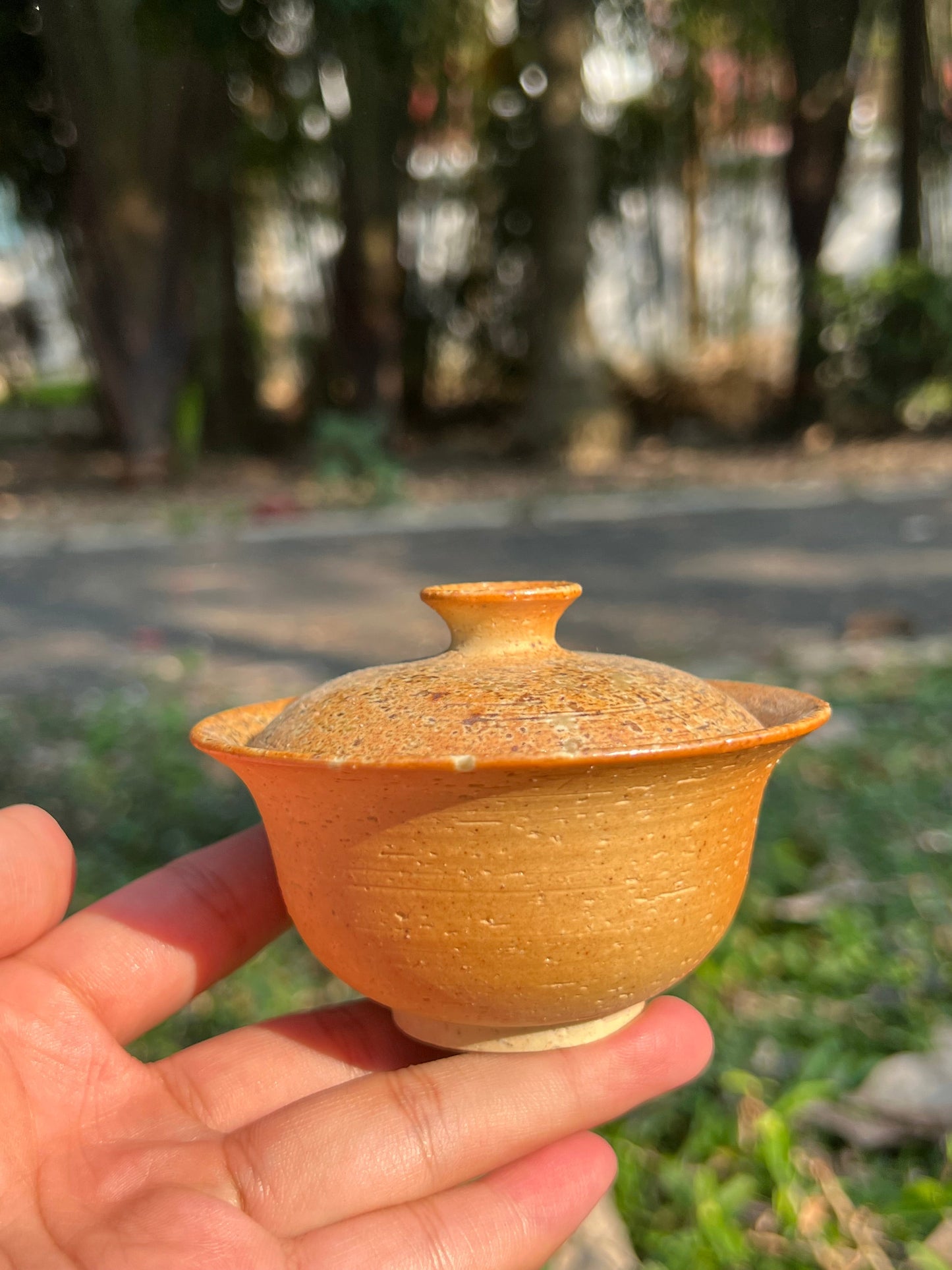 This is a pottery teapot.this is a pottery gaiwan