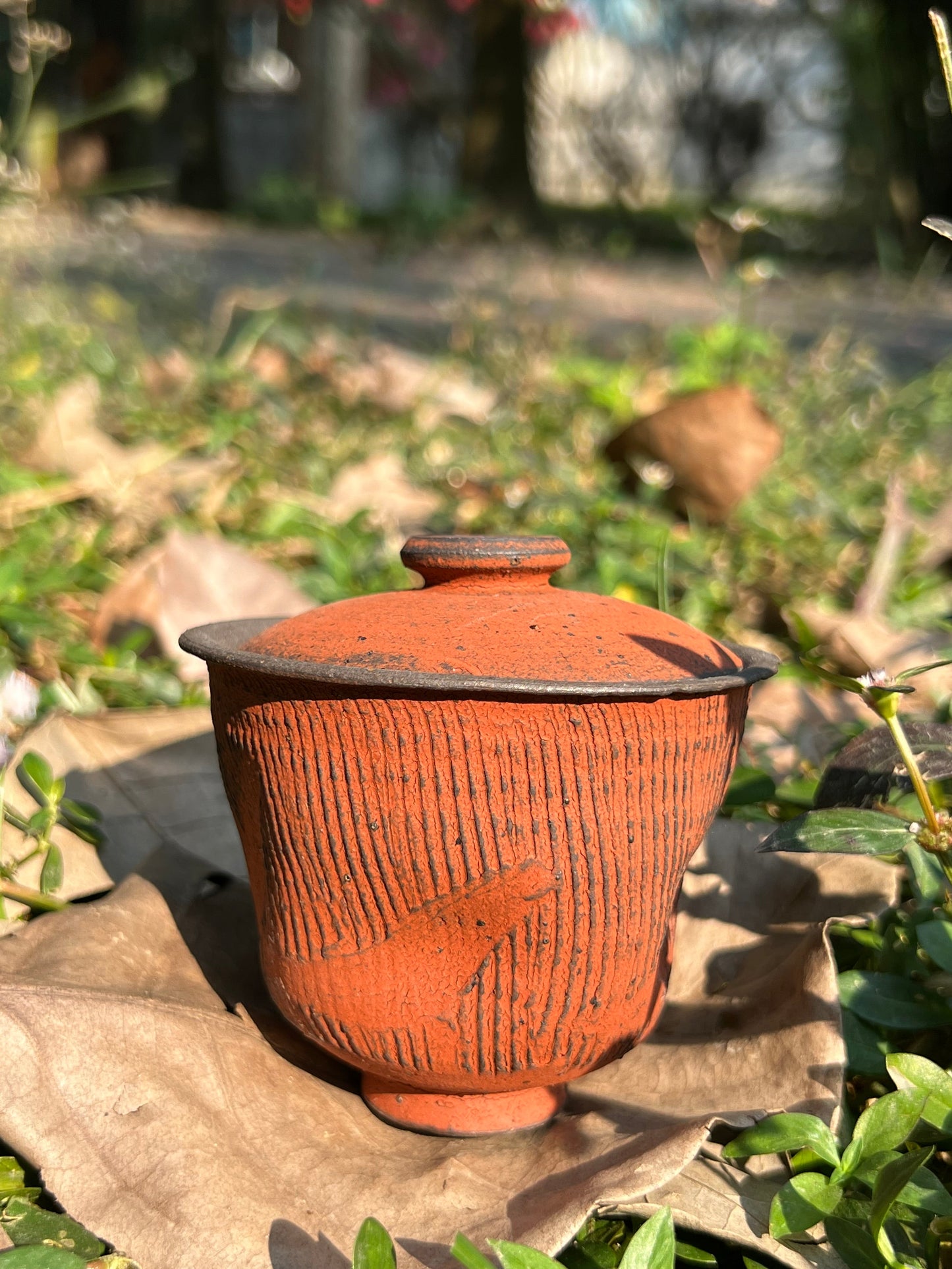 This is a pottery teapot.this is a pottery gaiwan