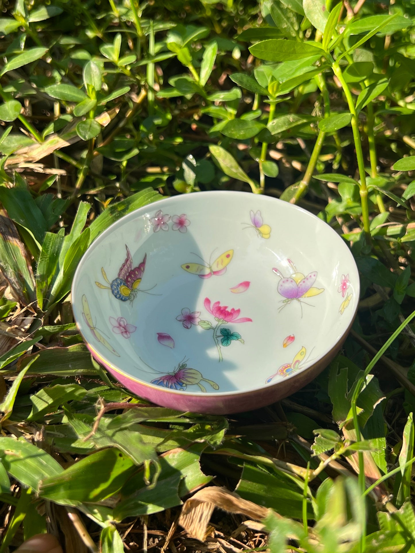 Hand Painted Pahua Chinese Butterfly Teacup Jingdezhen Master Ceramic Artwork Purple Base