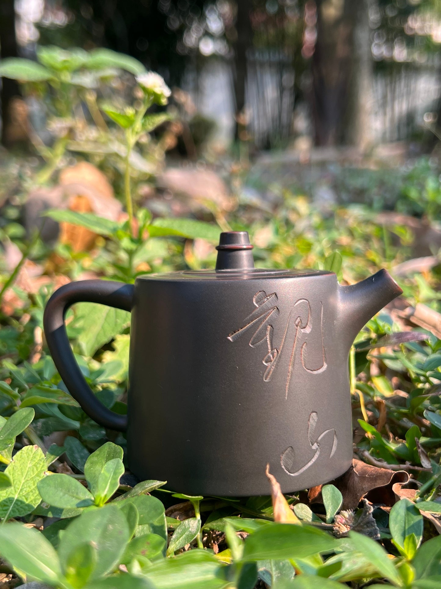 This is a Nixing clay teapot.this is a Chinese Nixing pottery teapot