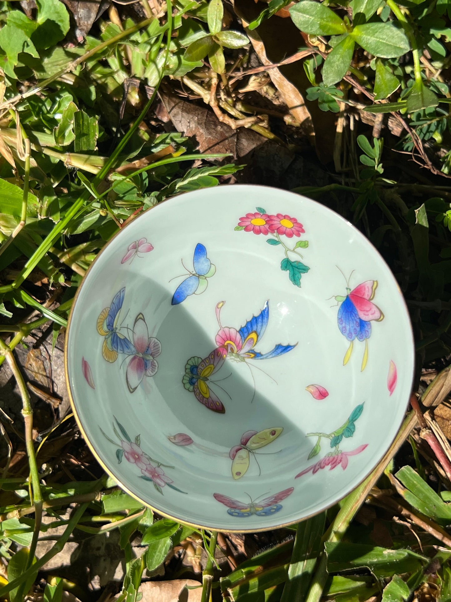 Hand Painted Pahua Chinese Butterfly Gaiwan Jingdezhen Master Ceramic Artwork