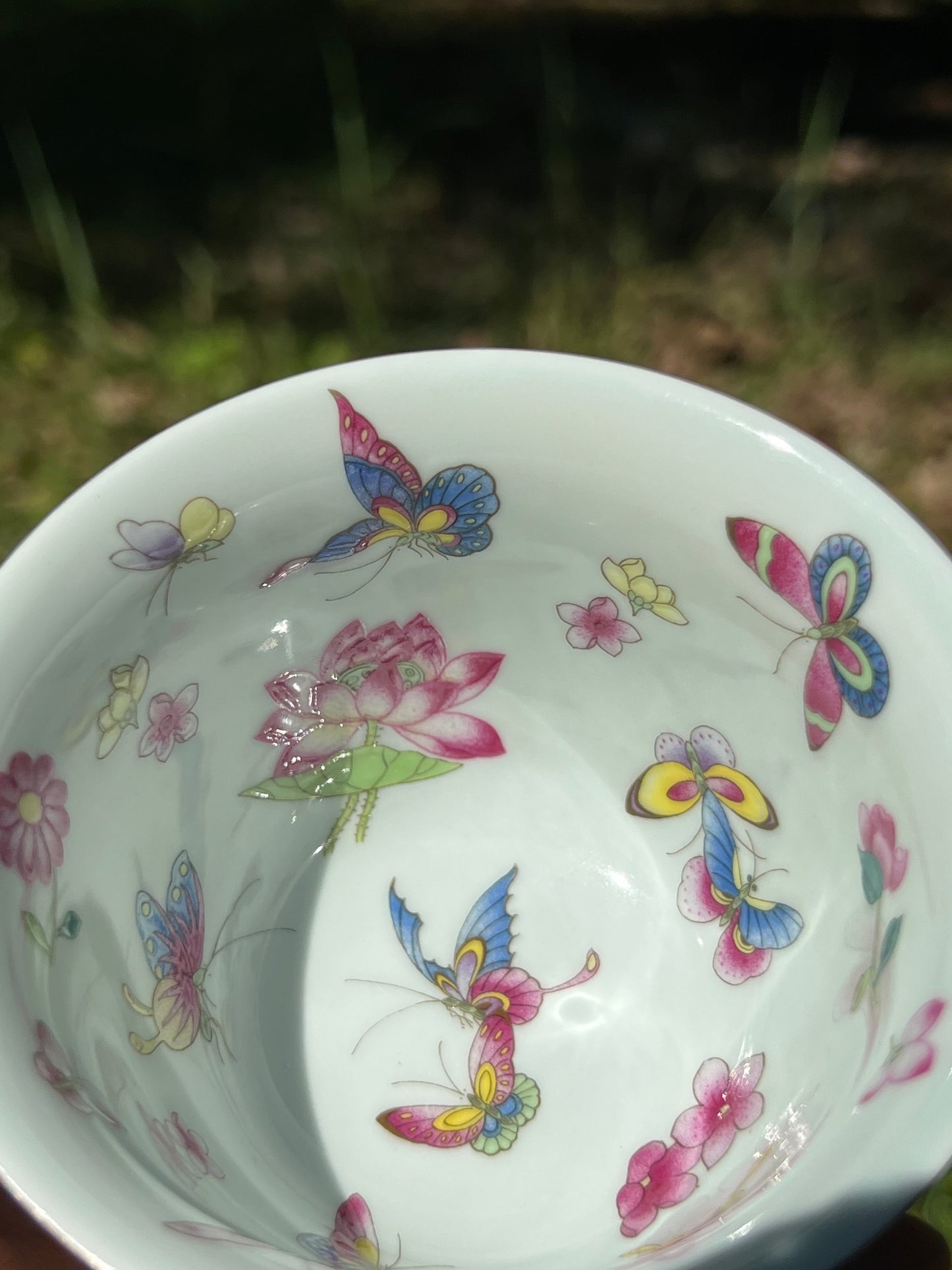 Hand Painted Pahua Chinese Butterfly Gaiwan Jingdezhen Master Ceramic Artwork