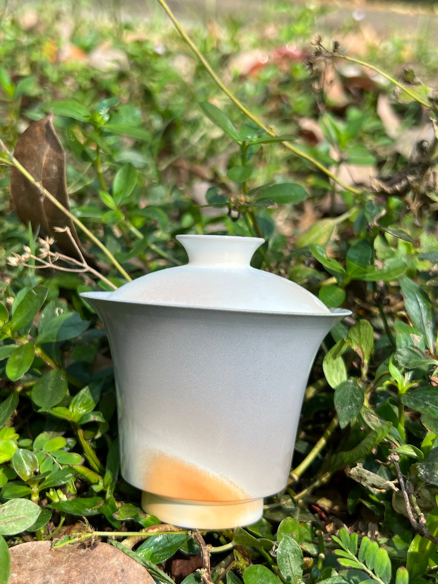 This is a woodfired pottery teapot gaiwan