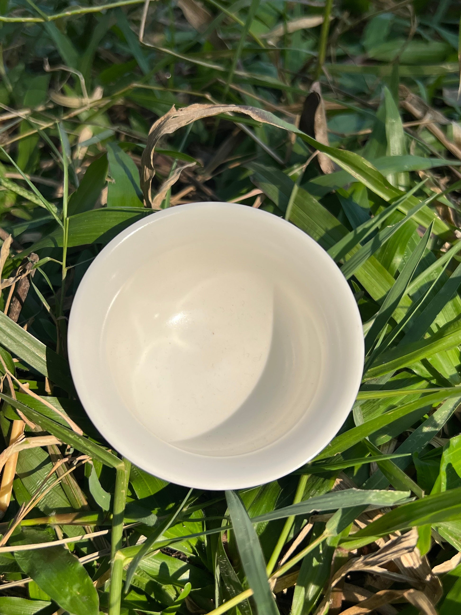 this is Chinese lacquer ware teacup
