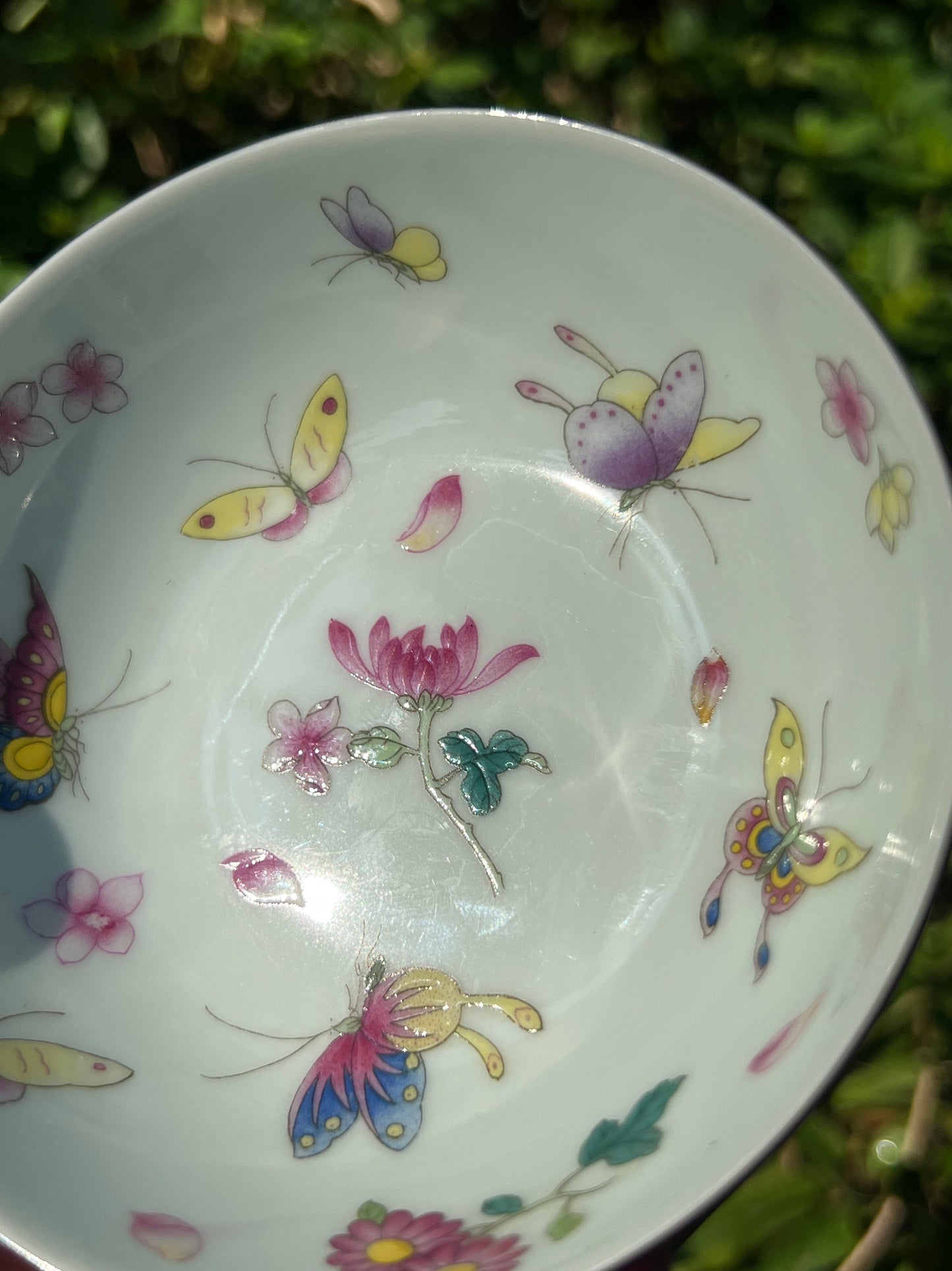 Hand Painted Pahua Chinese Butterfly Teacup Jingdezhen Master Ceramic Artwork Purple Base