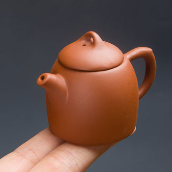 Handcrafted Original Design Chinese Mini Zisha Purple Clay Teapot Artwork Zhuni Teapot