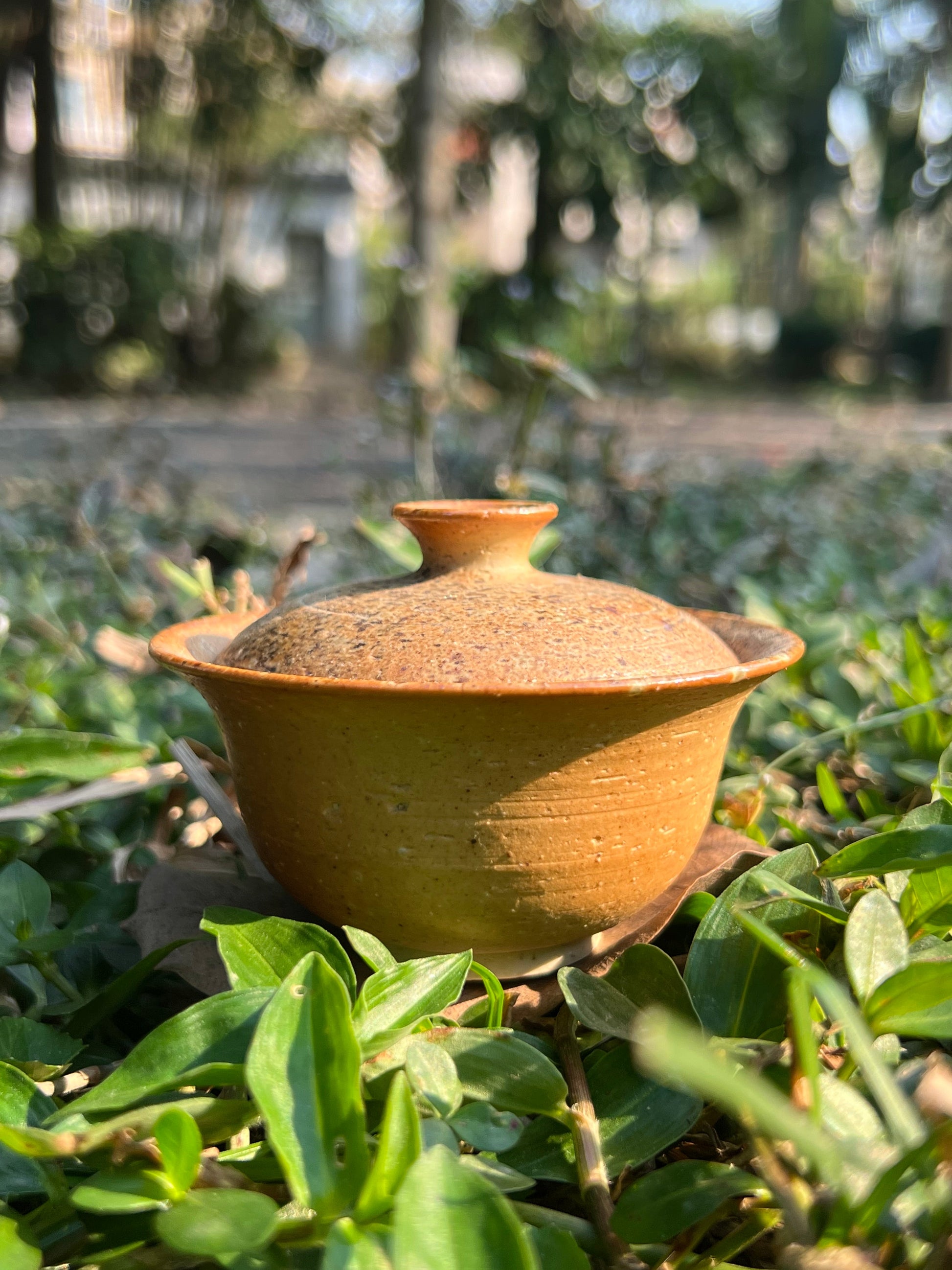 This is a pottery teapot.this is a pottery gaiwan