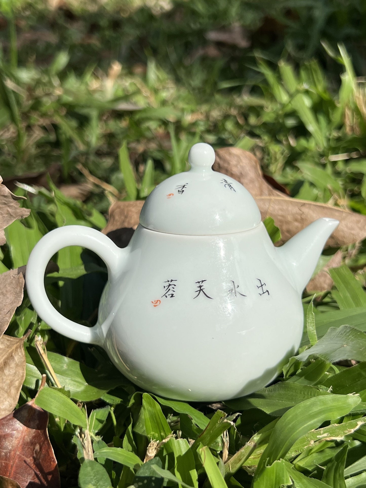 this is a Chinese Jingdezhen pastel porcelain flower teapot.this is a ceramic teapot