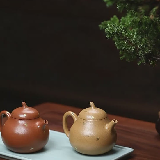 This is a Yixing teapot. this is Chinese yixing clay teapot 