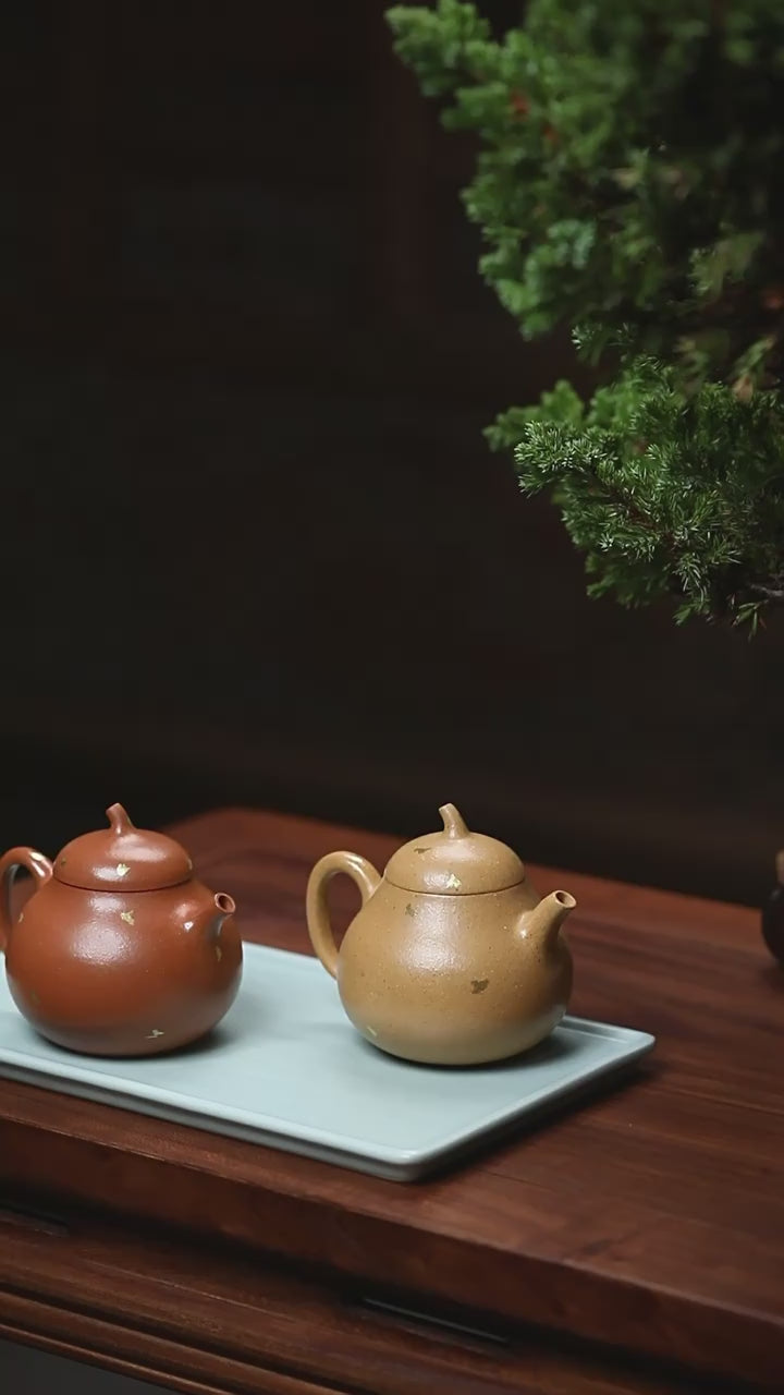 This is a Yixing teapot. this is Chinese yixing clay teapot 