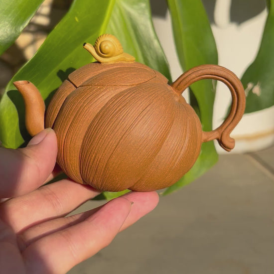 This is a Yixing teapot. this is Chinese yixing clay teapot 