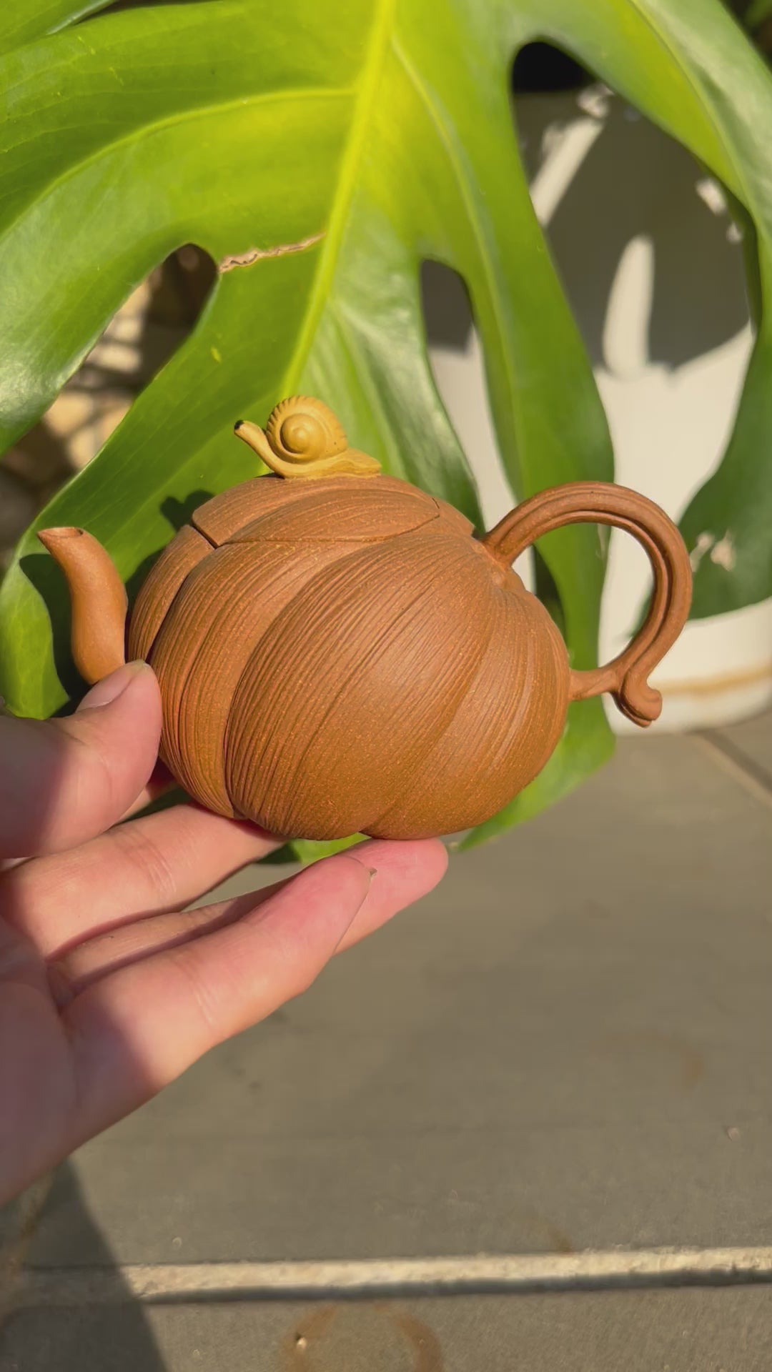 This is a Yixing teapot. this is Chinese yixing clay teapot 