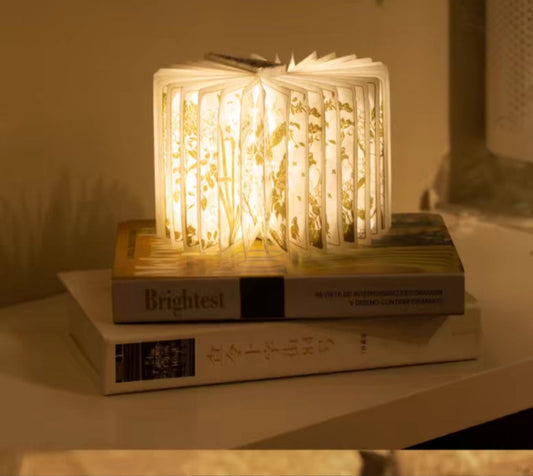 This is an electric book lamp